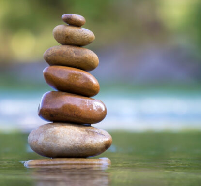 Each of us were raised with a set of values. While those values may differ from one family to the next, our values shape the way we think and interact with the world around us. At RemTech, we have a set of values also. These values shape the way we work with our team and [&hellip;]