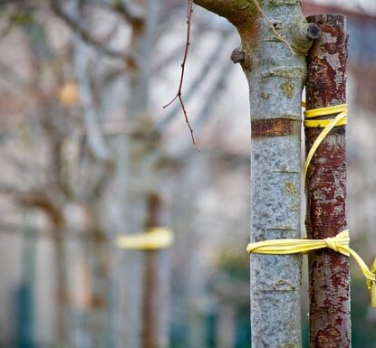 Achieving personal goals can be challenging, especially if you are trying to accomplish them on your own. It is important to have a support system in place to encourage, motivate, and keep you accountable. The same is true in business. Having a strong support system is vital for the success of your organization. At RemTech, [&hellip;]