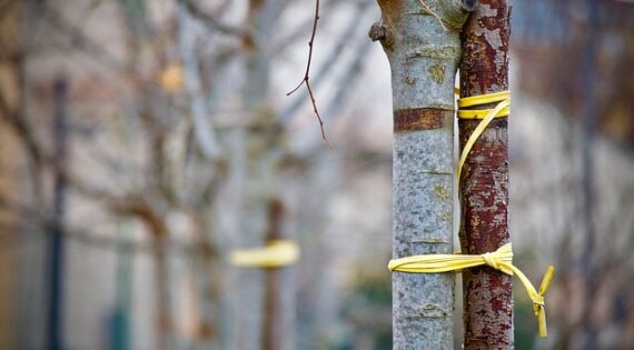 A Strong Support System