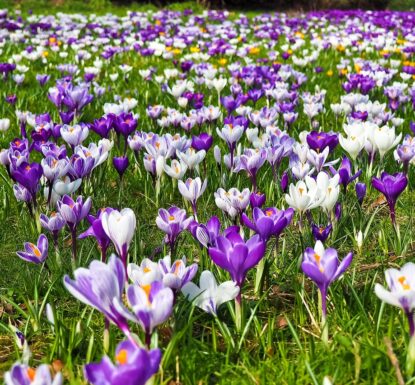 Spring is here. Now is the time to open your windows, shake off the winter, and take a look at where you want to be. For your organization, spring is a great time to start a partnership with RemTech. When you partner with us, we provide you with the highest level of service to elevate [&hellip;]