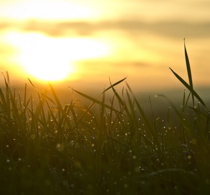 The New Year is a time of opportunity, a time of promise. Every January we make resolutions and plans for the upcoming year. This is a great time for planning for your organization. What new opportunities does 2026 hold for you? &nbsp; New Projects Starting a new project can produce many new challenges for your [&hellip;]