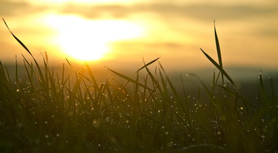 New Year, New Plans, New Opportunities